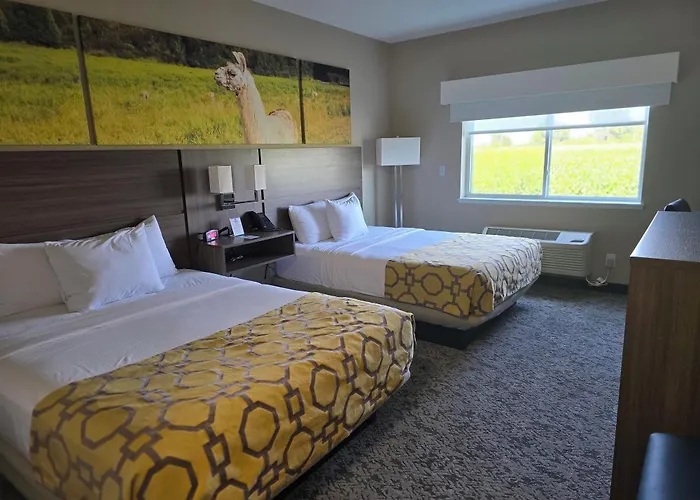 Hotel Baymont By Wyndham 2*