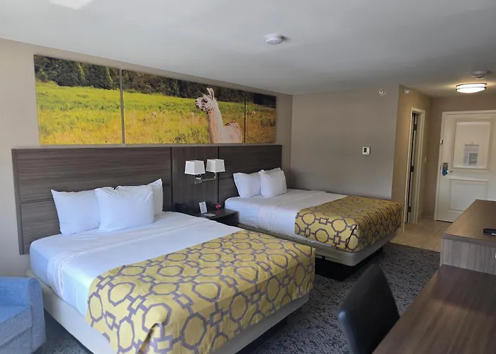 Baymont By Wyndham Hotel